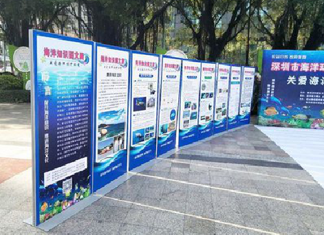 马关KT板的种类和知识。